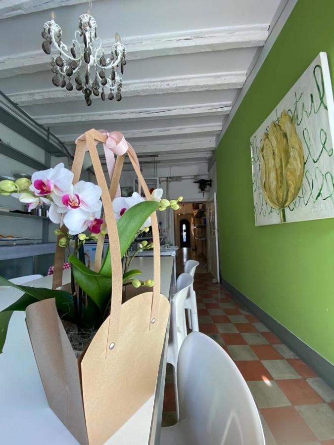 19 Borgo Cavour Bed & Breakfast Treviso Exterior photo