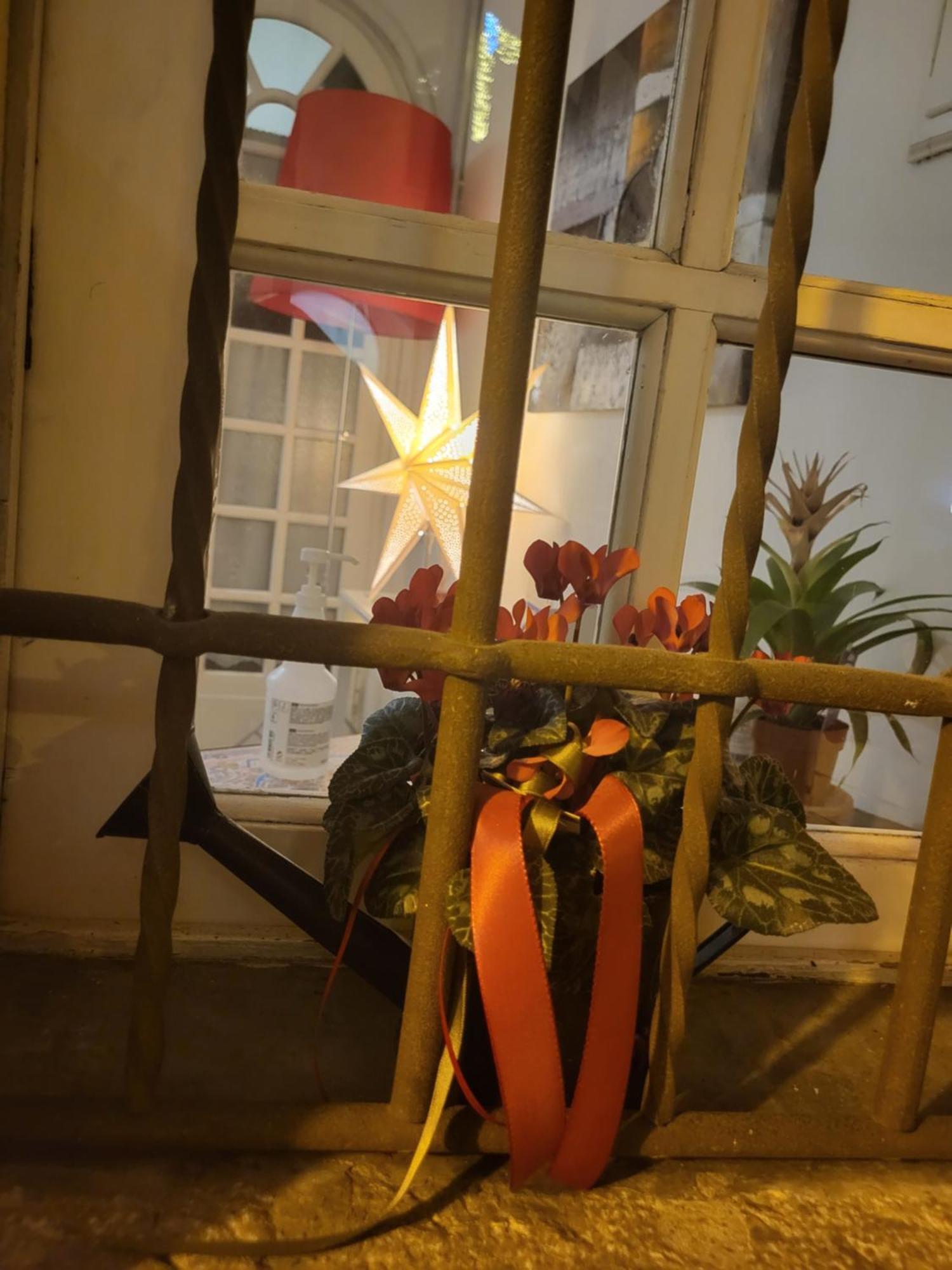 19 Borgo Cavour Bed & Breakfast Treviso Exterior photo