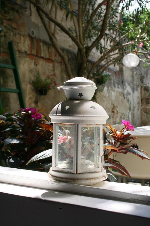 19 Borgo Cavour Bed & Breakfast Treviso Exterior photo